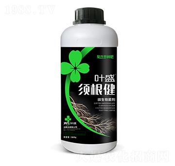 횸���-�~ʢ����