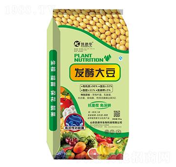 �l(f��)�ʹ󶹾���-�P���A