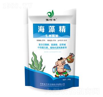 ����ø�⺣�徫-ԥ���S