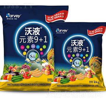 ��ҺԪ��9+1-�����f