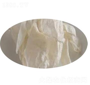 �����ǚ�����-ɽ�|����