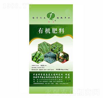 �ЙC����-����