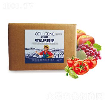 �ЙC�}�V��-������-(li��n)��ϲ�r