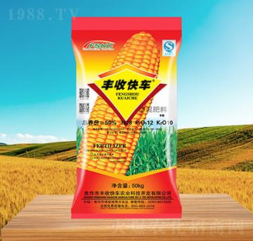 ���׌��Ó����28-12-10-�S�տ�܇