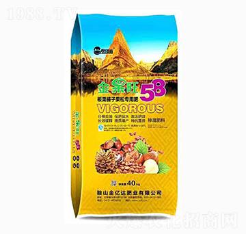 板栗榛子果松專用肥-金億達肥業(yè)