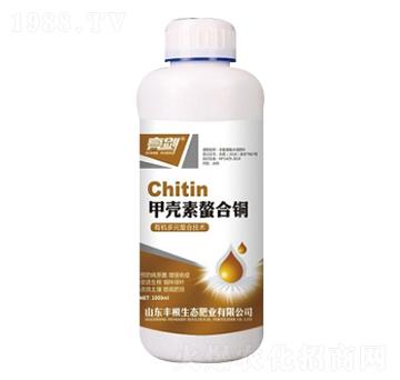 �ך��������~-����-�S���ʘI(y��)