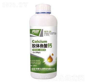 �z�w�~з�}-����-�S���ʘI(y��)