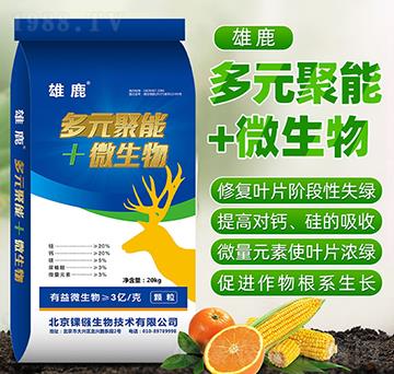 ��Ԫ����+΢����-��¹-��j����