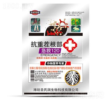 ���ز��������120-ʥ�ϝ�(r��n)