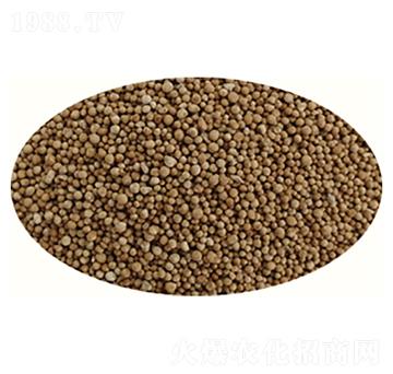 ��ƺ��-���ȶ�-�߸�