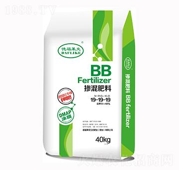 �������-19-19-19-�¸��R��-����