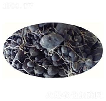 ����������-ԣ����Դ