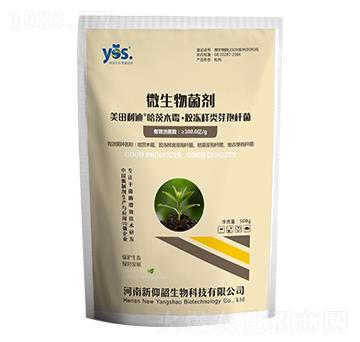 ����ľù�����z�����ѿ�ߗU��-��������-������