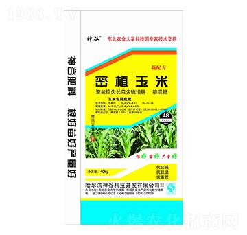 密植玉米摻混肥料15-15-18-神谷-犇牛農(nóng)業(yè)