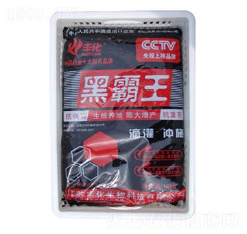 �ڰ����ЙC���-�S��