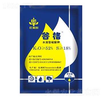 �����r�M(j��n)�������-�ȸ�-�����r(n��ng)�I(y��)