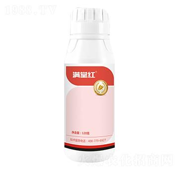 12%���ѡ��������x-�M�üt-���˸�