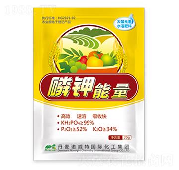 �������-�����Z����