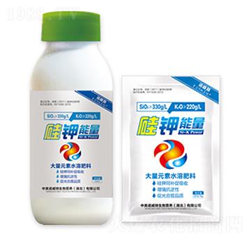 �������-�����Z����