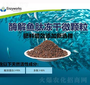 ø���~�ă���΢�w��-��������