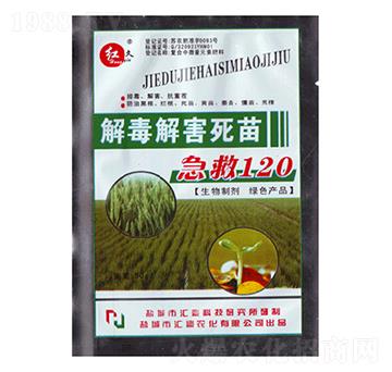 �ⶾ�⺦����120-�R���r��