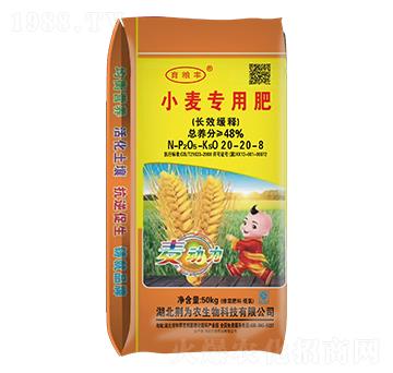 С����(zhu��n)�÷�20-20-8-�����S