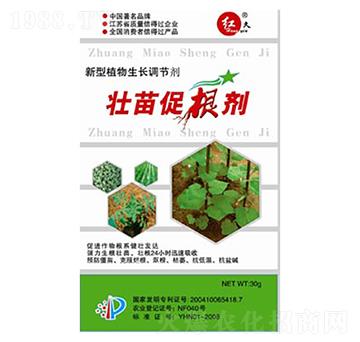 ����ٸ���-�R���r��