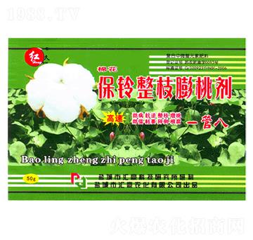 �����֦���҄�-�R���r��