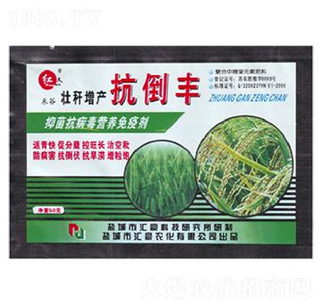 �Ѷ����a�����S-�R���r��