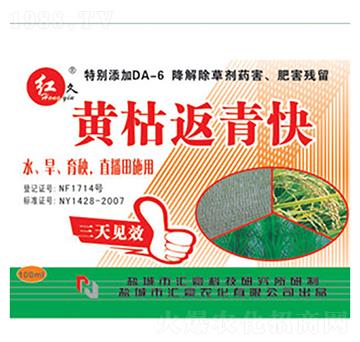 �S�ݷ����-�R���r��