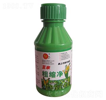 ���״ֿs��-�R���r��