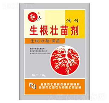 �t��������-�R���r��