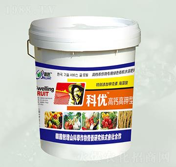 ���}�����-�ƃ�(y��u)-���@����