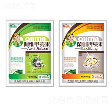 ���ؿ��ך���-�P����