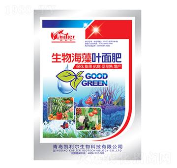 ���ﺣ���~���-�P����