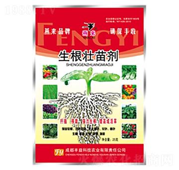 �������焩25��-�S��