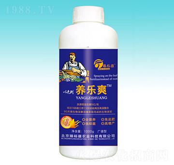 1000g�B(y��ng)��ˬ-��ԣ��