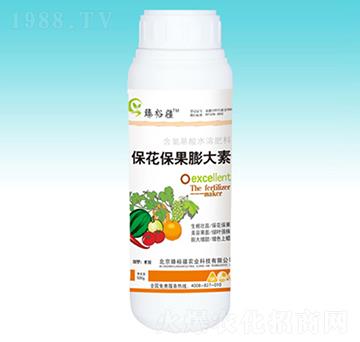 �������������-��ԣ��