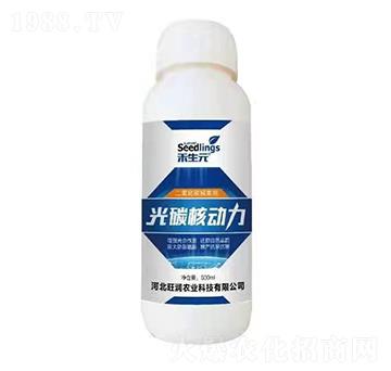 ������̼������-��̼��