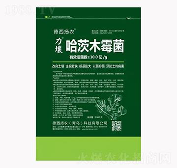 ����ľù��-����-�����P�r(n��ng)