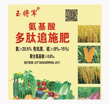 ��������ľ�׷ʩ��-���r(n��ng)�ʘI(y��)