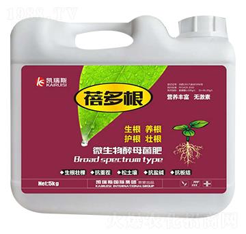 ΢�����ĸ����-�����-�P��˹