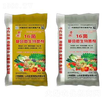 ��(f��)��΢�������-16��-��������