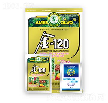 ��120-������