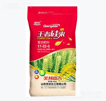 ��(f��)�Ϸ���17-22-5-ʩ����-���r(n��ng)����