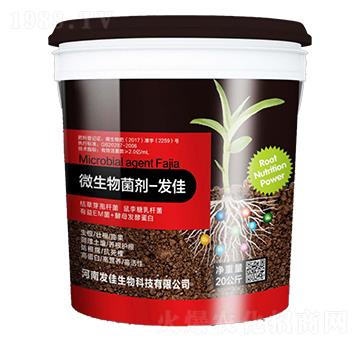 �����΢�������-�l(f��)��