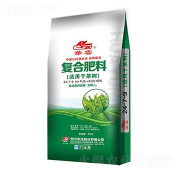 ��䌣�ÏͺϷ���2-4
