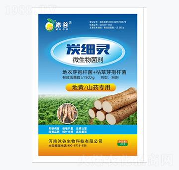 ΢�������-̿���`-�������