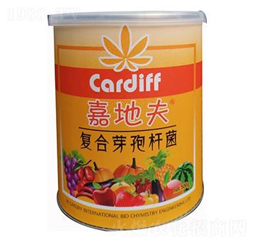 ��(f��)��ѿ�ߗU��-�εط�