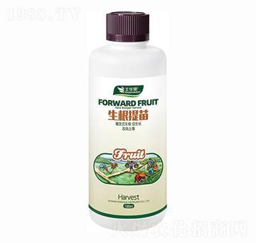 生根提苗肥-豐華果-豐華肥業(yè)